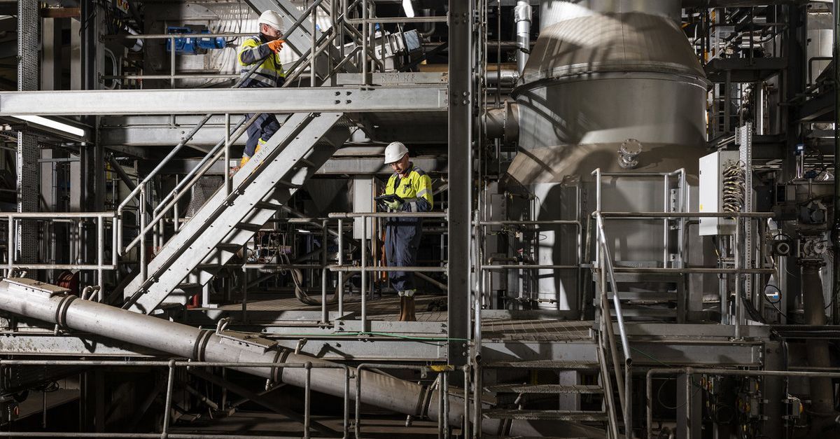 Tannery Maintenance Assistant