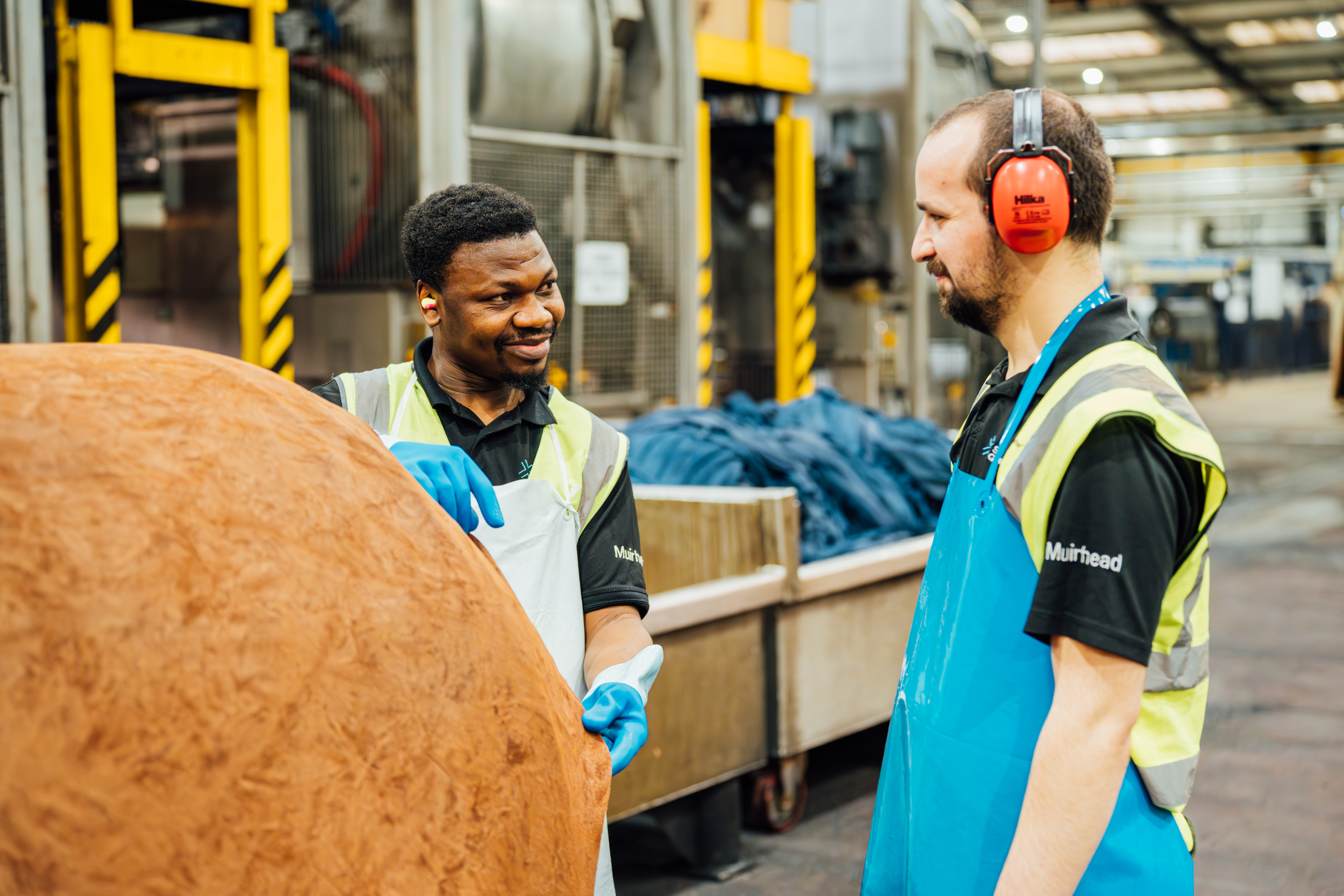 Raw Hide Inspector (INTERNAL ONLY)