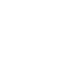 Linkedin icon